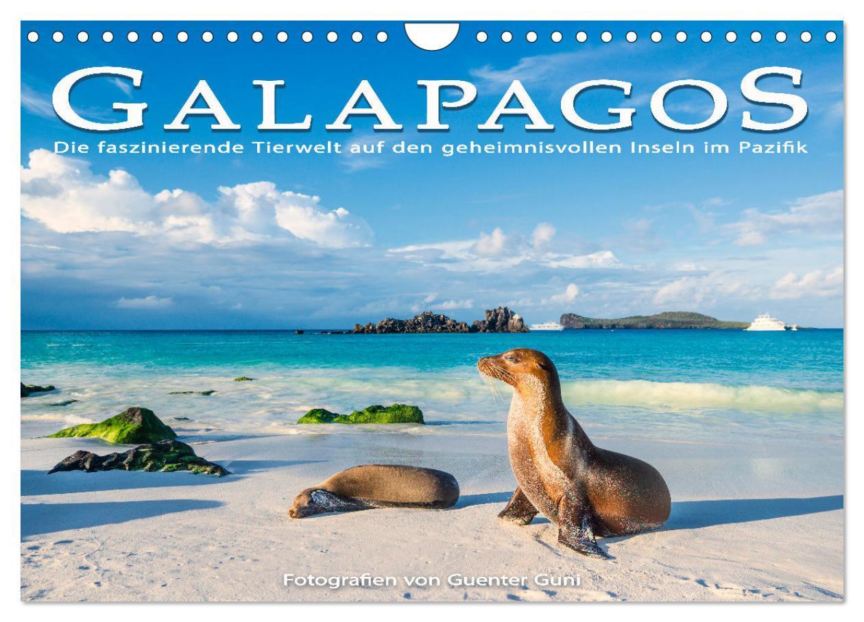 Die faszinierende Tierwelt der Galapagos-Inseln (Wandkalender 2025 DIN A4 quer), CALVENDO Monatskalender