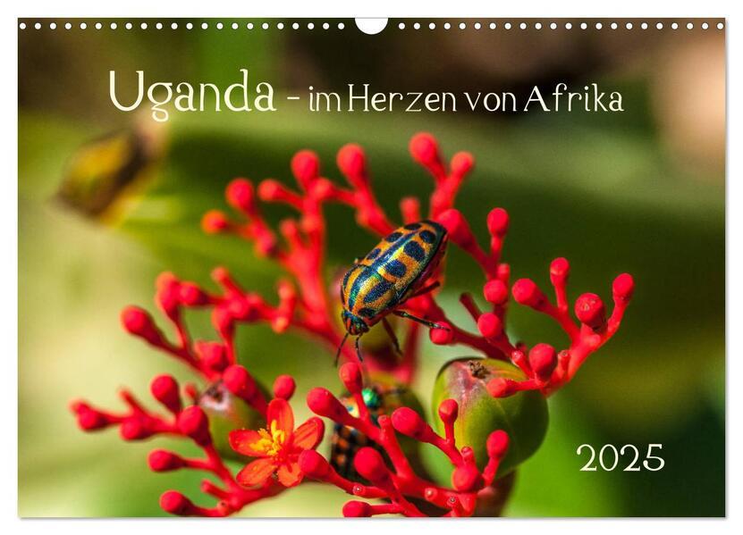 Uganda - im Herzen von Afrika (Wandkalender 2025 DIN A3 quer), CALVENDO Monatskalender