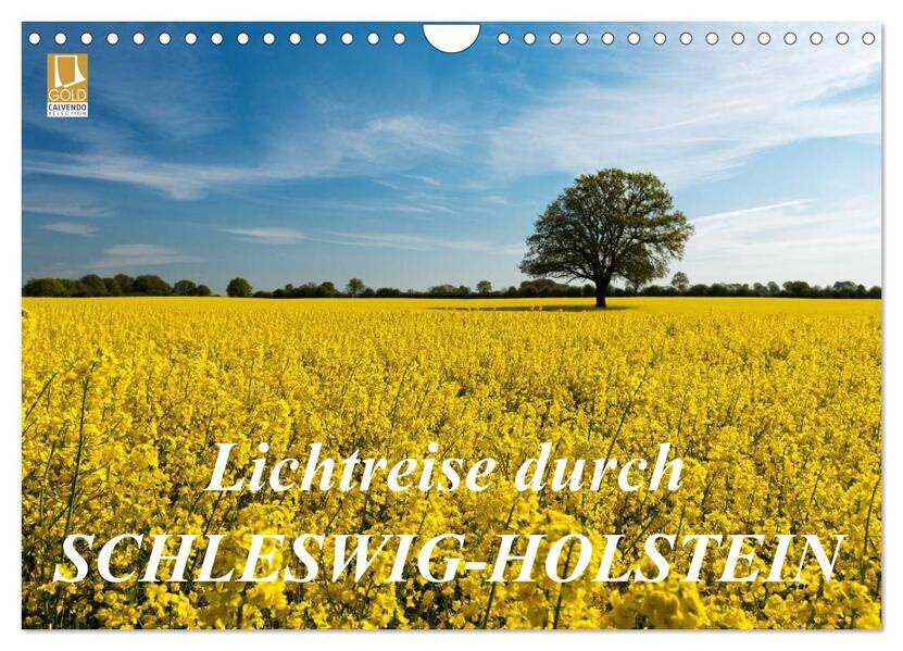 Lichtreise durch Schleswig-Holstein (Wandkalender 2025 DIN A4 quer), CALVENDO Monatskalender