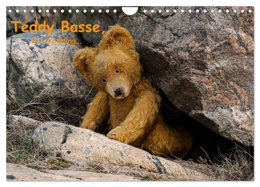 Teddy Basse, Fortsetzung... (Wandkalender 2025 DIN A4 quer), CALVENDO Monatskalender