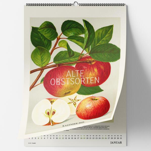 Alte Obstsorten. Wandkalender 2025