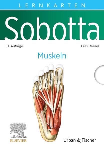 Sobotta Lernkarten Muskeln