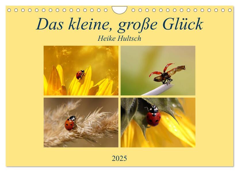 Das kleine, große Glück (Wandkalender 2025 DIN A4 quer), CALVENDO Monatskalender