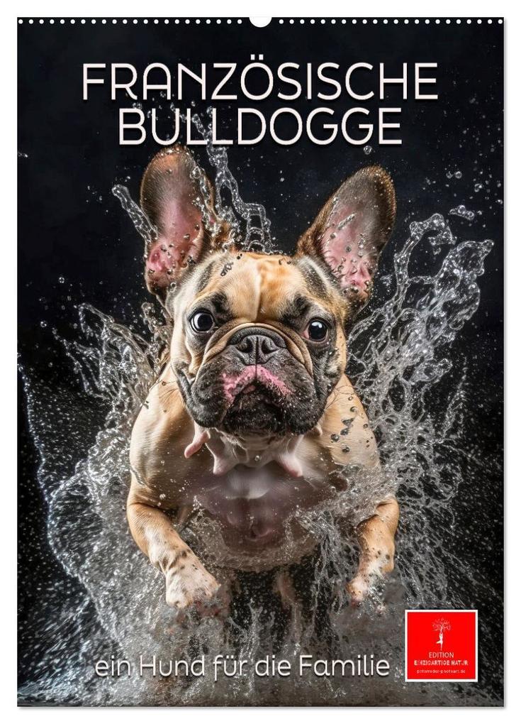 Französische Bulldogge - ein Hund für die Familie (Wandkalender 2025 DIN A2 hoch), CALVENDO Monatskalender