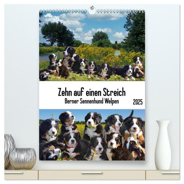 Zehn auf einen Streich (hochwertiger Premium Wandkalender 2025 DIN A2 hoch), Kunstdruck in Hochglanz