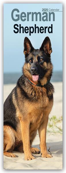 German Shepherds - Deutsche Schäferhunde 2025