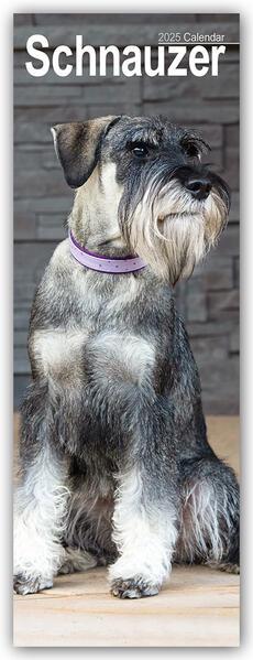 Schnauzer 2025