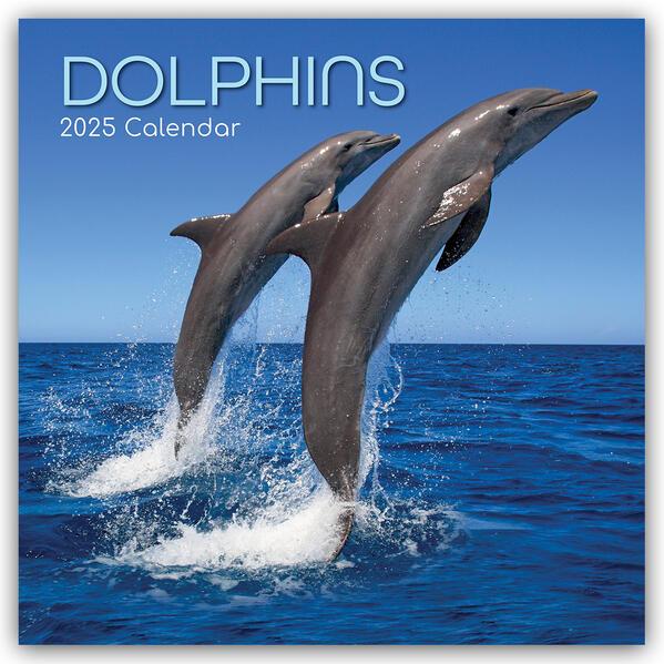 Dolphins - Delfine - Delphine 2025 - 16-Monatskalender