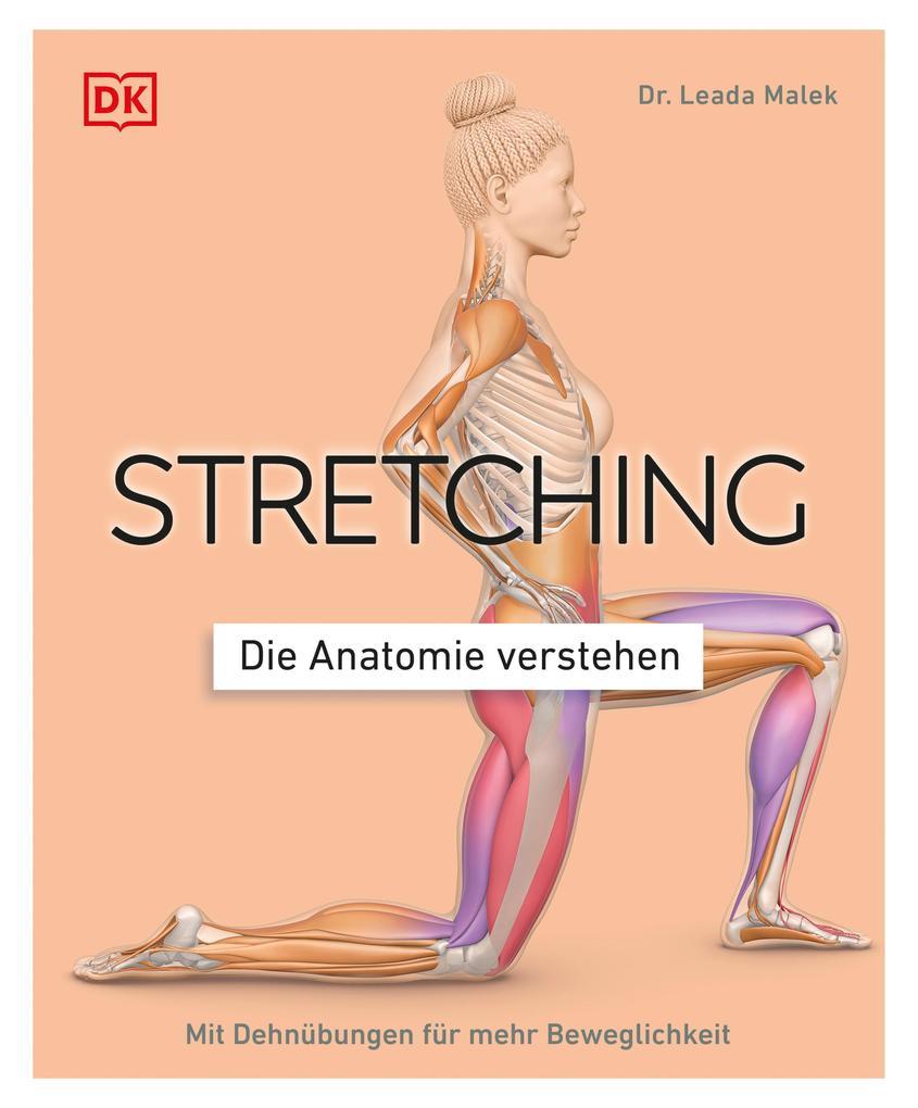 Stretching - Die Anatomie verstehen