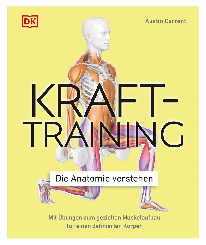 Krafttraining - Die Anatomie verstehen