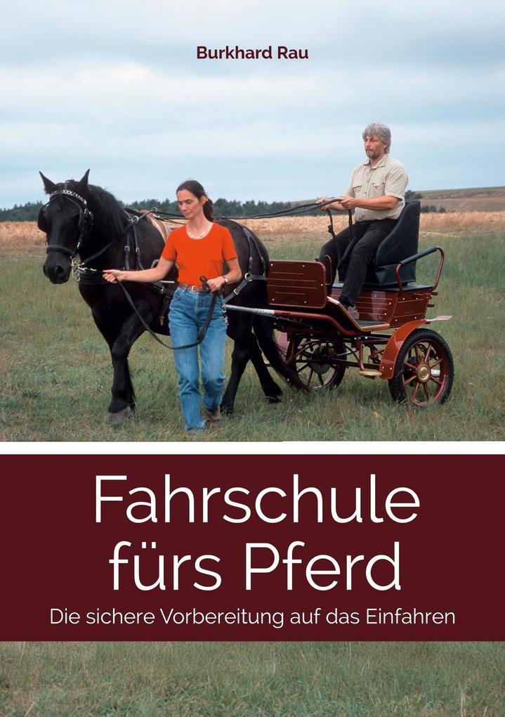 Fahrschule fürs Pferd