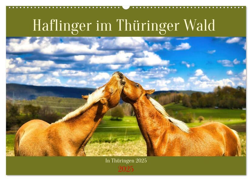 Haflinger im Thüringer Wald (Wandkalender 2025 DIN A2 quer), CALVENDO Monatskalender