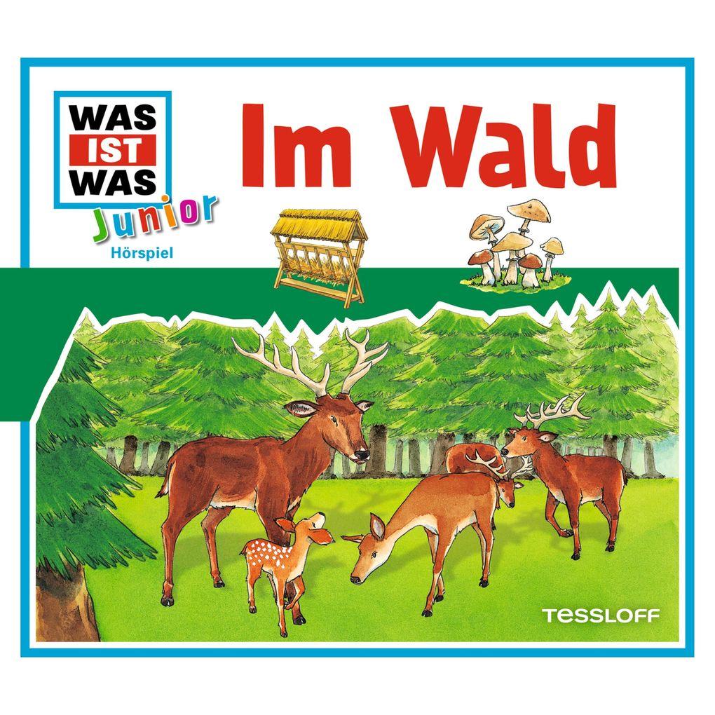 11: Im Wald