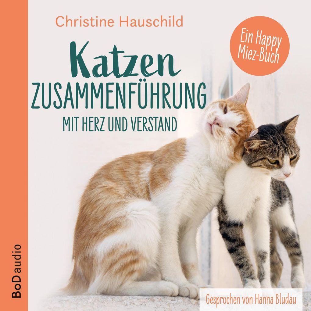 Katzenzusammenführung mit Herz und Verstand