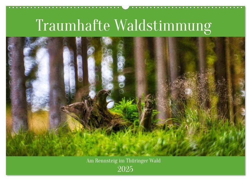 Traumhafte Waldstimmung am Rennsteig im Thüringer Wald (Wandkalender 2025 DIN A2 quer), CALVENDO Monatskalender