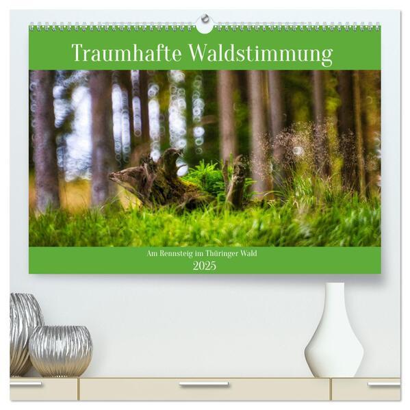 Traumhafte Waldstimmung am Rennsteig im Thüringer Wald (hochwertiger Premium Wandkalender 2025 DIN A2 quer), Kunstdruck in Hochglanz