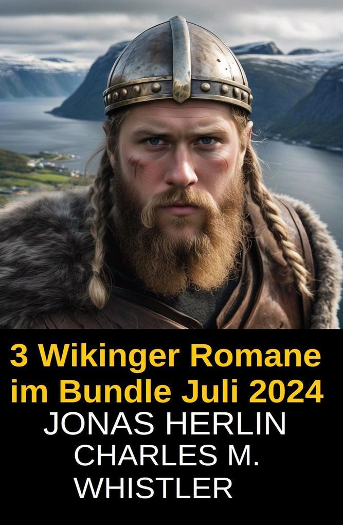 3 Wikinger Romane im Bundle Juli 2024