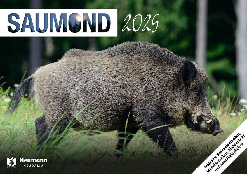 Saumond 2025