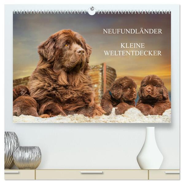 Neufundländer - Kleine Weltentdecker (hochwertiger Premium Wandkalender 2025 DIN A2 quer), Kunstdruck in Hochglanz