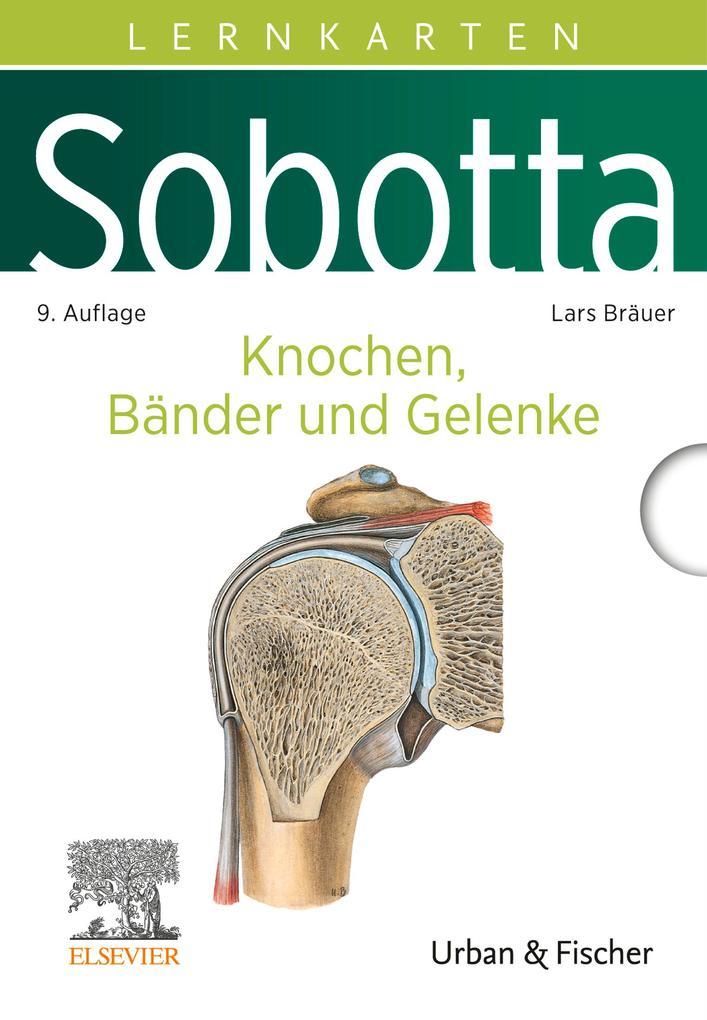 Sobotta Lernkarten Knochen, Bänder und Gelenke