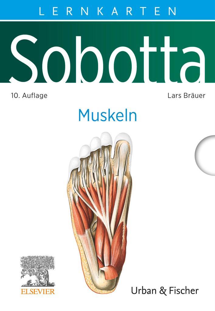 Sobotta Lernkarten Muskeln