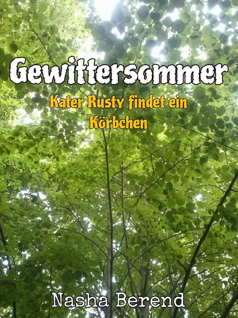 Gewittersommer