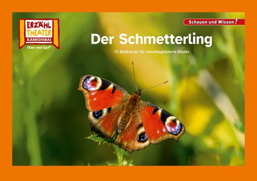 Der Schmetterling / Kamishibai Bildkarten