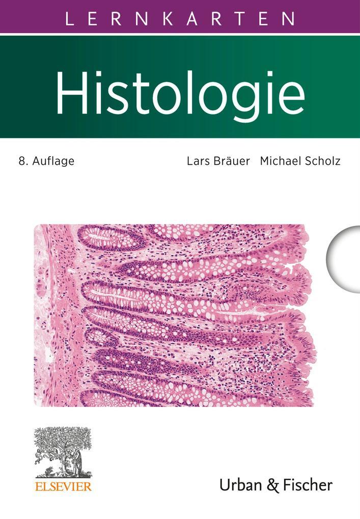 Lernkarten Histologie