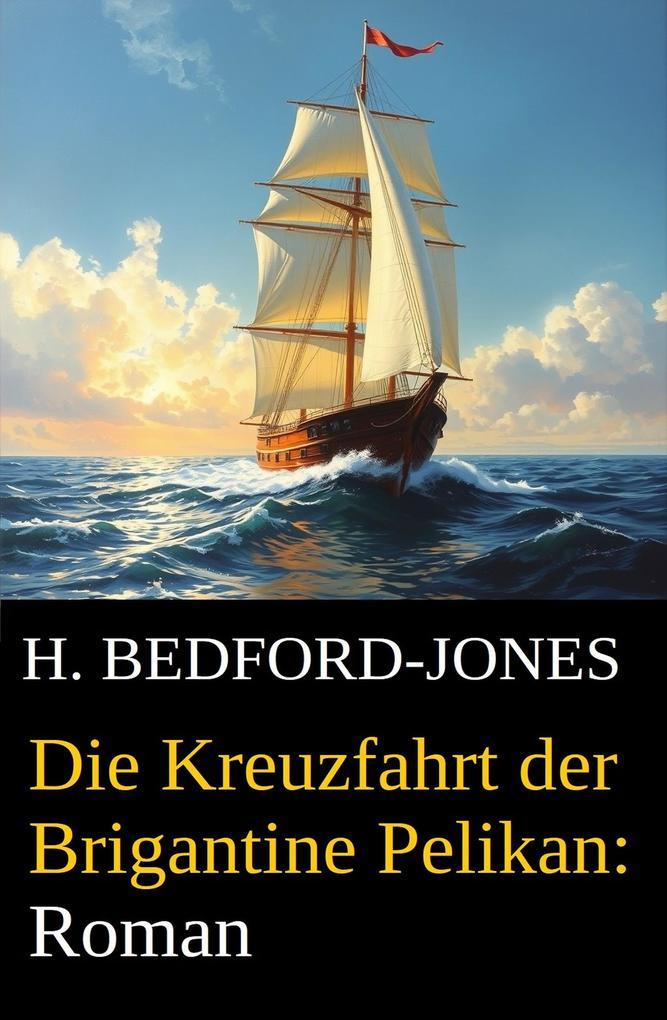 Die Kreuzfahrt der Brigantine Pelikan: Roman