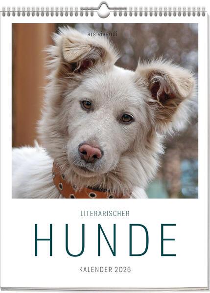 Literarischer Hunde - Kalender 2026