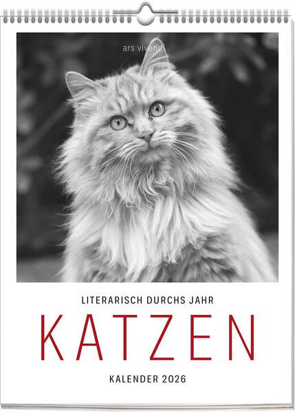 Katzen - Literarisch durchs Jahr 2026