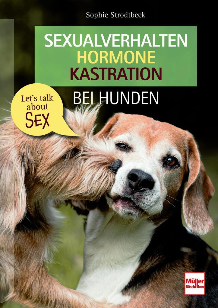 Sexualverhalten - Hormone - Kastration bei Hunden