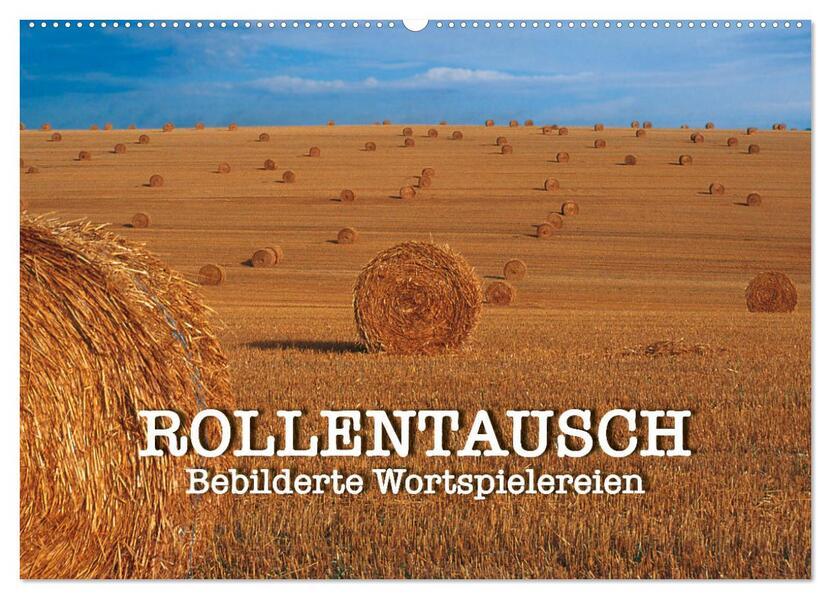 Rollentausch Bebilderte Wortspielereien (Wandkalender 2025 DIN A2 quer), CALVENDO Monatskalender