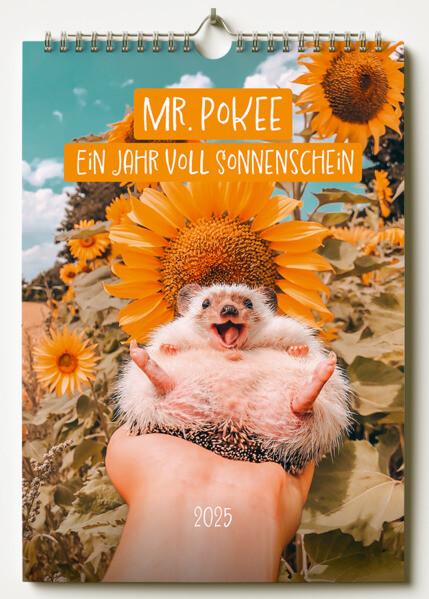 Mr.Pokee - Ein Jahr voll Sonnenschein