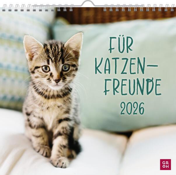 Für Katzenfreunde 2026