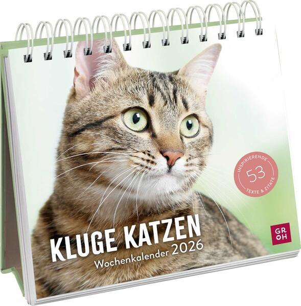 Wochenkalender 2026: Kluge Katzen