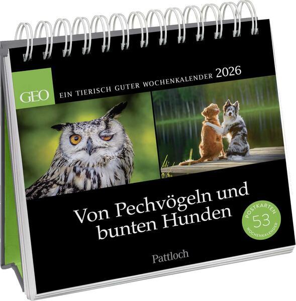 Postkartenkalender 2026: Von Pechvögeln und bunten Hunden