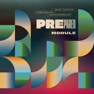 Module (LP+MP3)