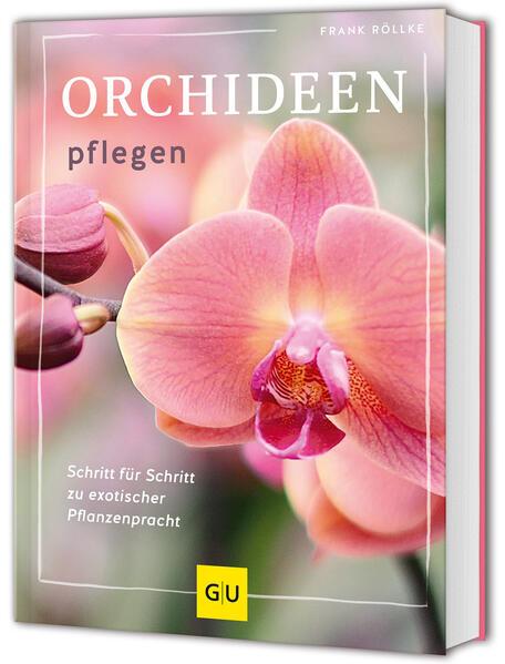 Orchideen pflegen