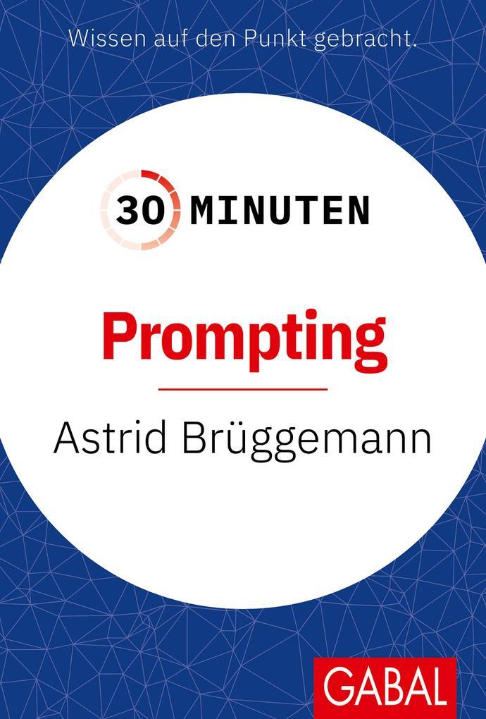 30 Minuten Prompting