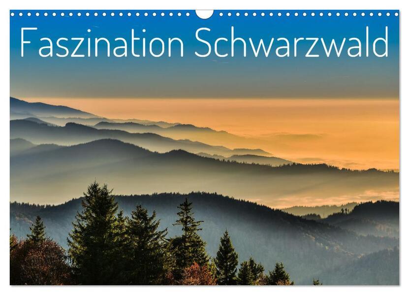 Faszination Schwarzwald (Wandkalender 2025 DIN A3 quer), CALVENDO Monatskalender