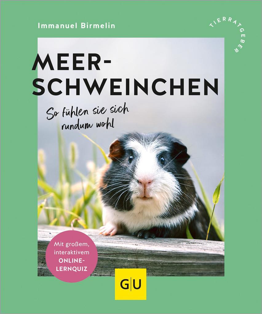 Meerschweinchen