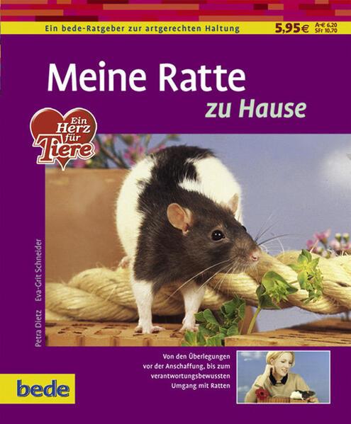 Meine Ratte zu Hause