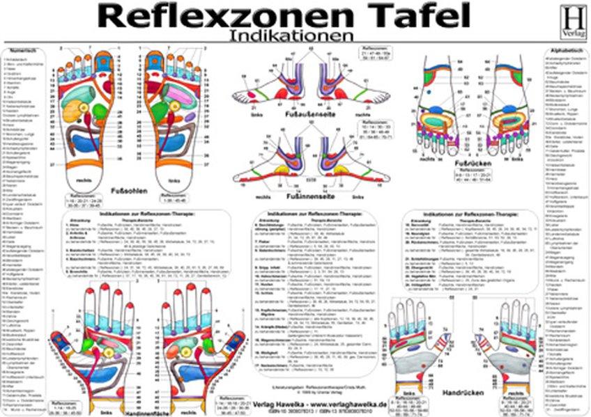 Reflexzonen Tafel. Indikationen. DIN A3