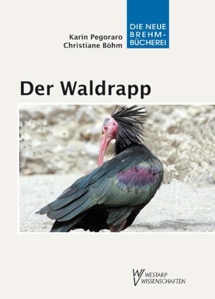 Der Waldrapp