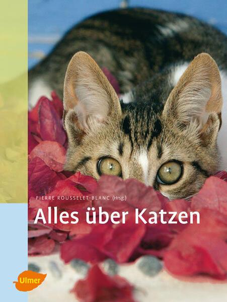 Alles über Katzen