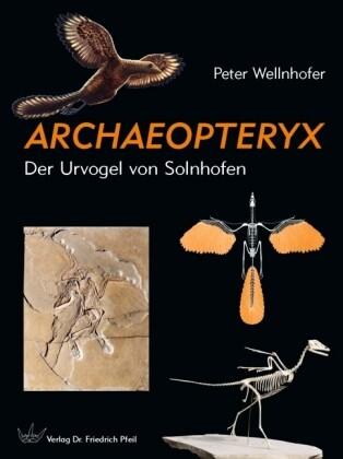 Archaeopteryx