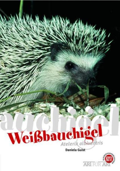 Weißbauchigel