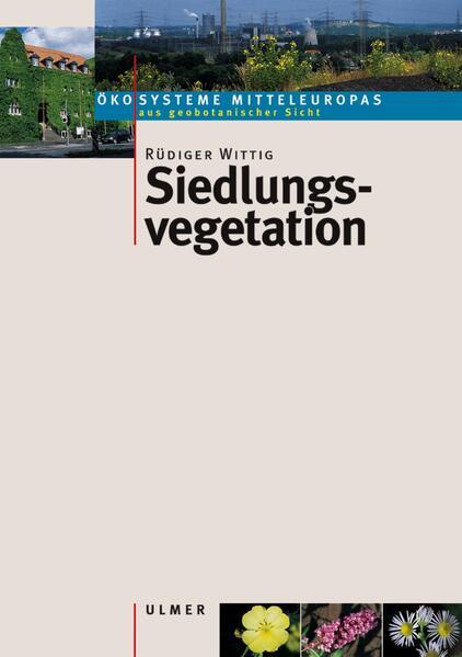 Siedlungsvegetation