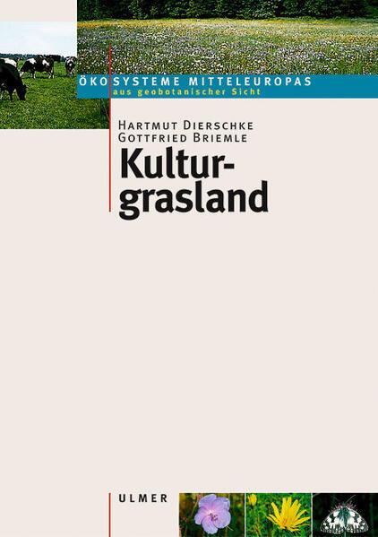 Kulturgrasland